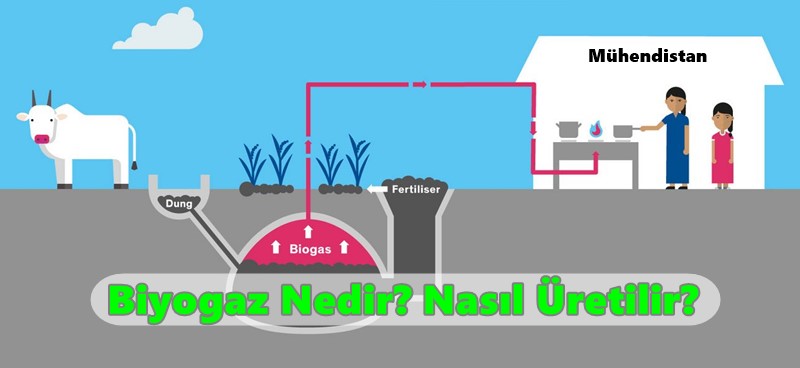 biyogaz nedir